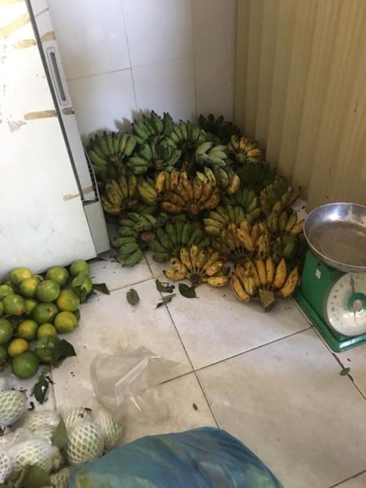 bười, cam, trứng, ốc bười, cam, trứng, ốc