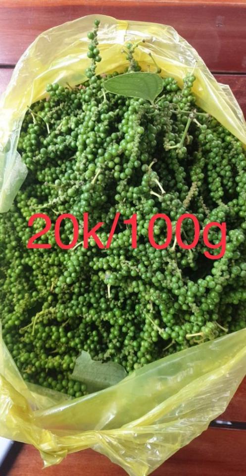 Tiêu xanh phú Quốc Tiêu xanh phú Quốc