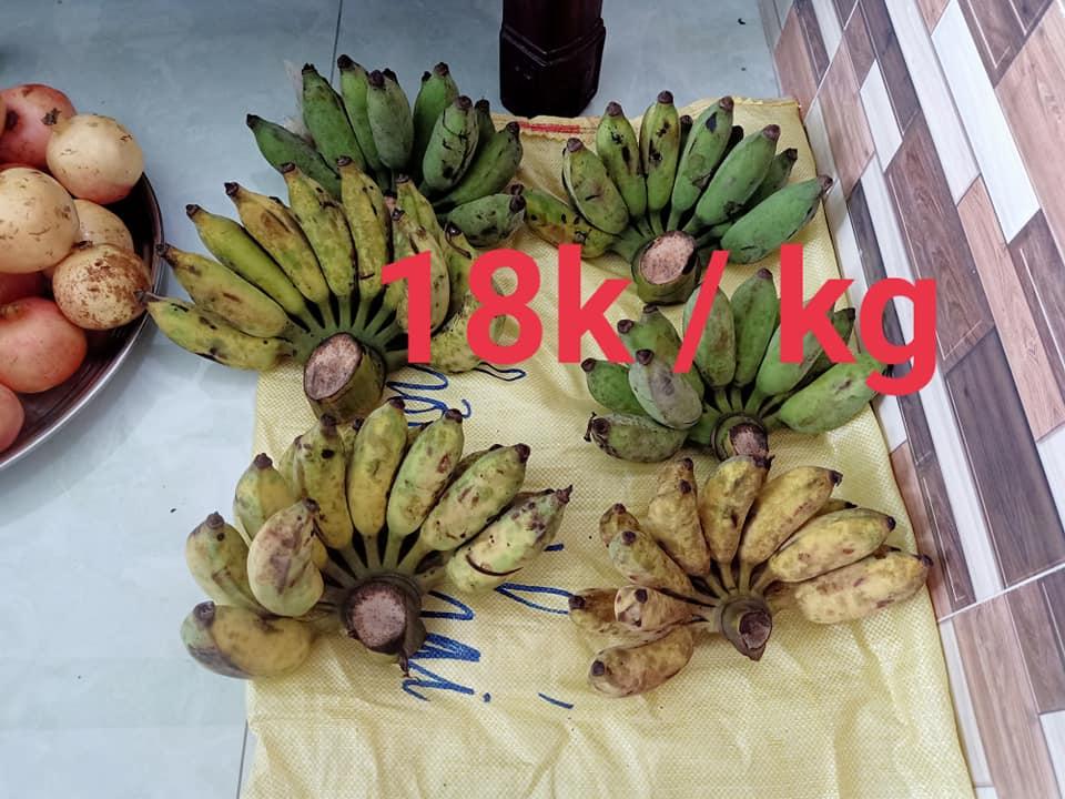 TRÁI CÂY CÚNG RẰM TRÁI CÂY CÚNG RẰM